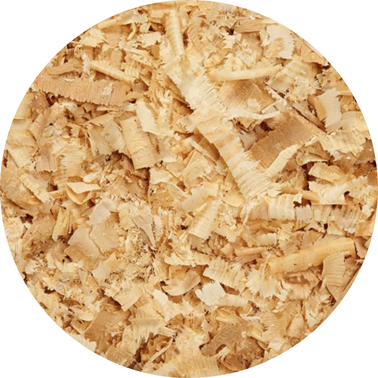 Shavings