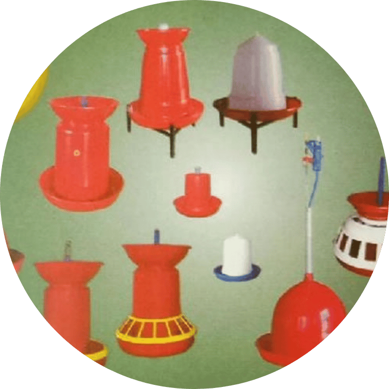 Poultry Equipment